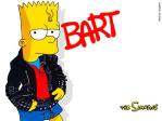 roller,skate,bmx,fille,garcon,...